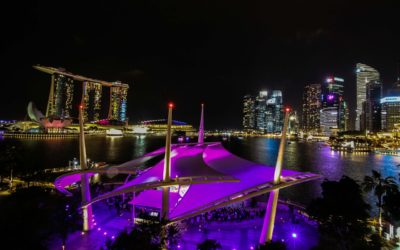 Singapore Visitors Guide – Travel Ups and Downs