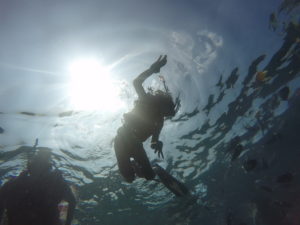 Snorkeling in the Maldives