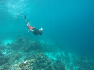 Snorkeling in the Maldives