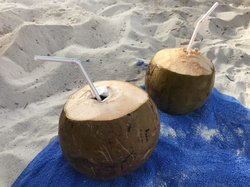 Coconut drinks on Bikini Beach Maafushi