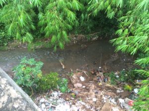 River Litter, Pollution - Ubud, Bali