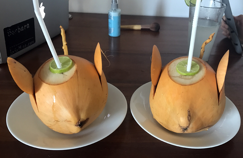 Coconut Drinks at Aussie Swiss Beach Hotel in Weligama