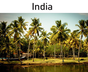 India - Visiting Abroad