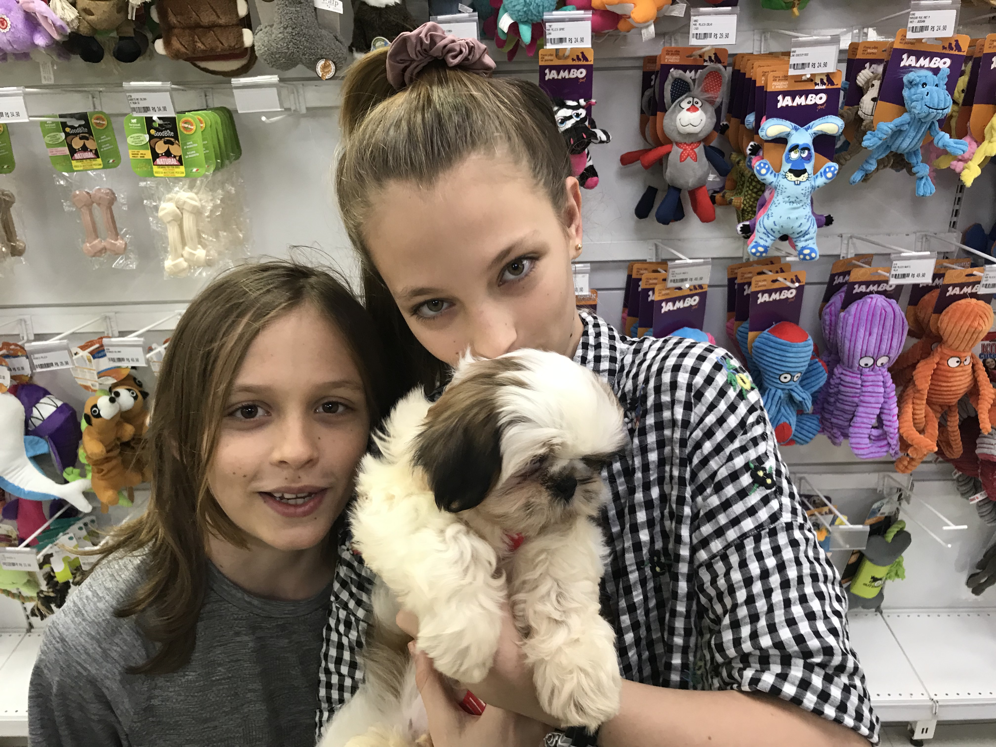 Petland Jardins One of our puppies we promised our kids when we moved to Brazil